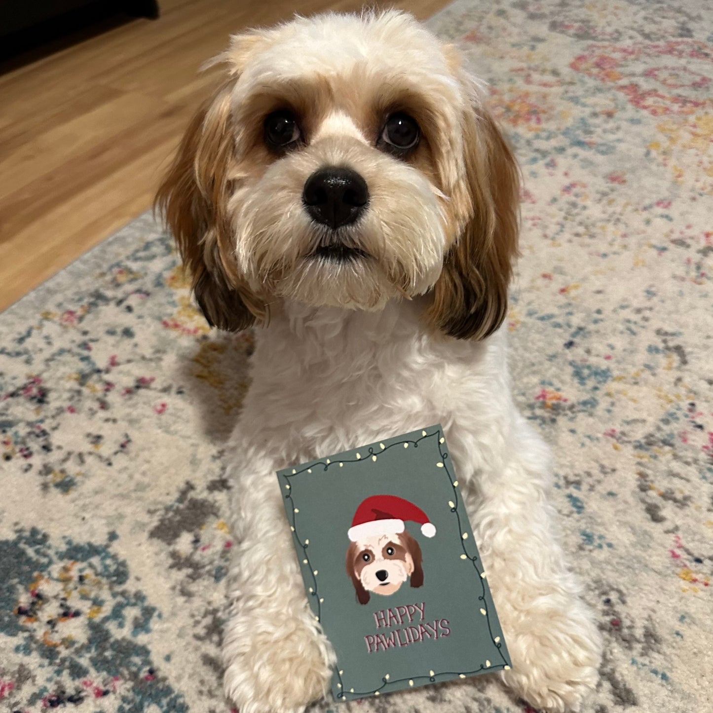 Happy Pawlidays Christmas Card