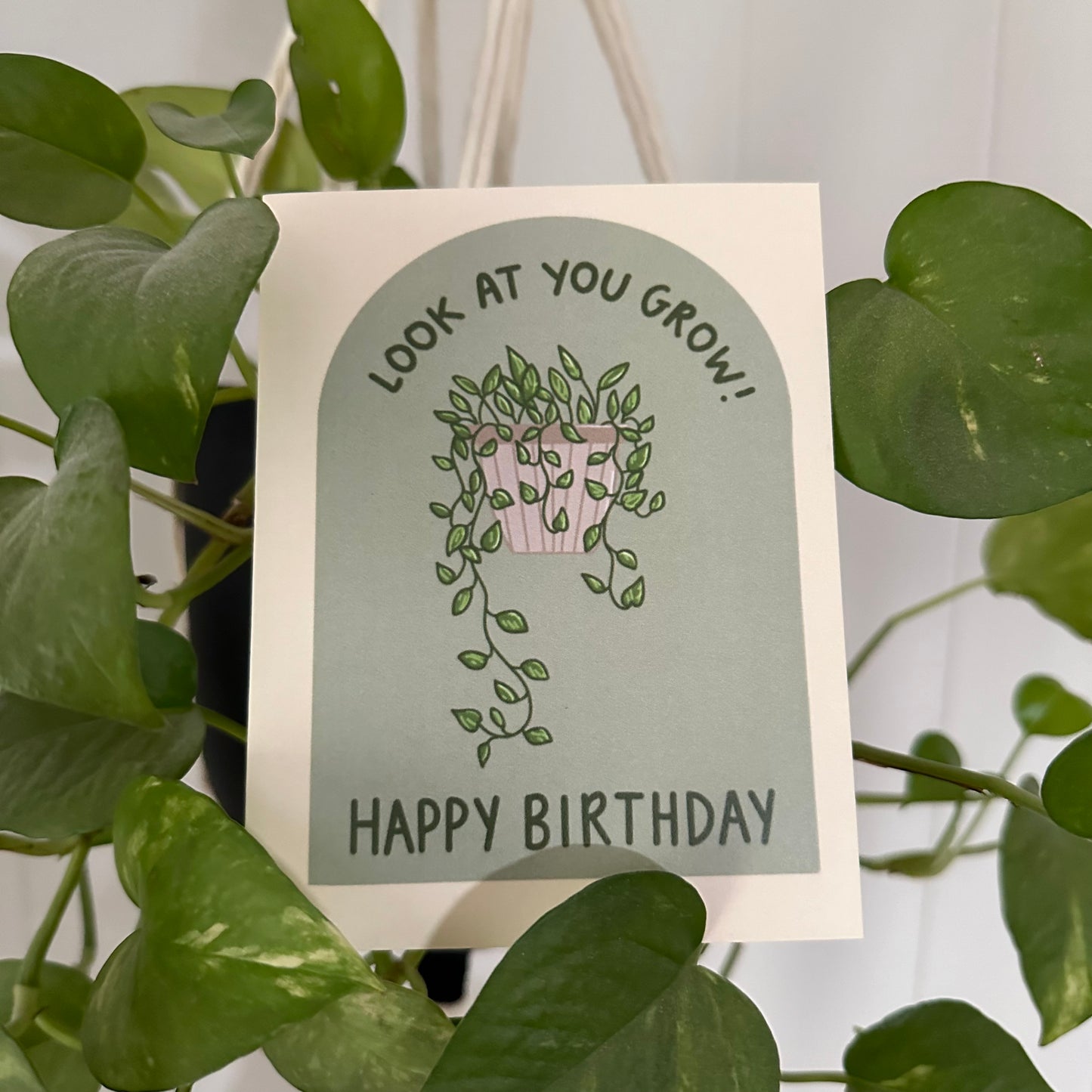 Look at You Grow Birthday Card