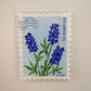 Bluebonnet Stamp Magnet
