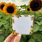 Sunflower Sticky Notes